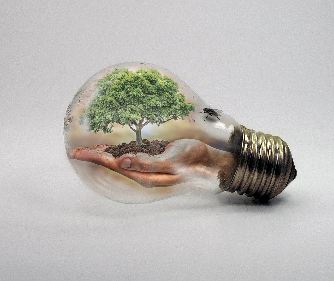 Solvency II and climate change risk – quo vadis? – door Lieve Lowet