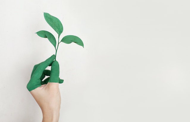 Breekt nood wet? Hoe de klimaatcrisis vorm geeft aan de macht van de staat om eigendom te ontnemen of te beperken – door prof. mr. dr. Björn Hoops en prof. mr. dr. Leon Verstappen