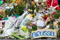 Na afbraak glazen kooien op 22/3-proces: de terugkeer van het rechterlijk bevel cover