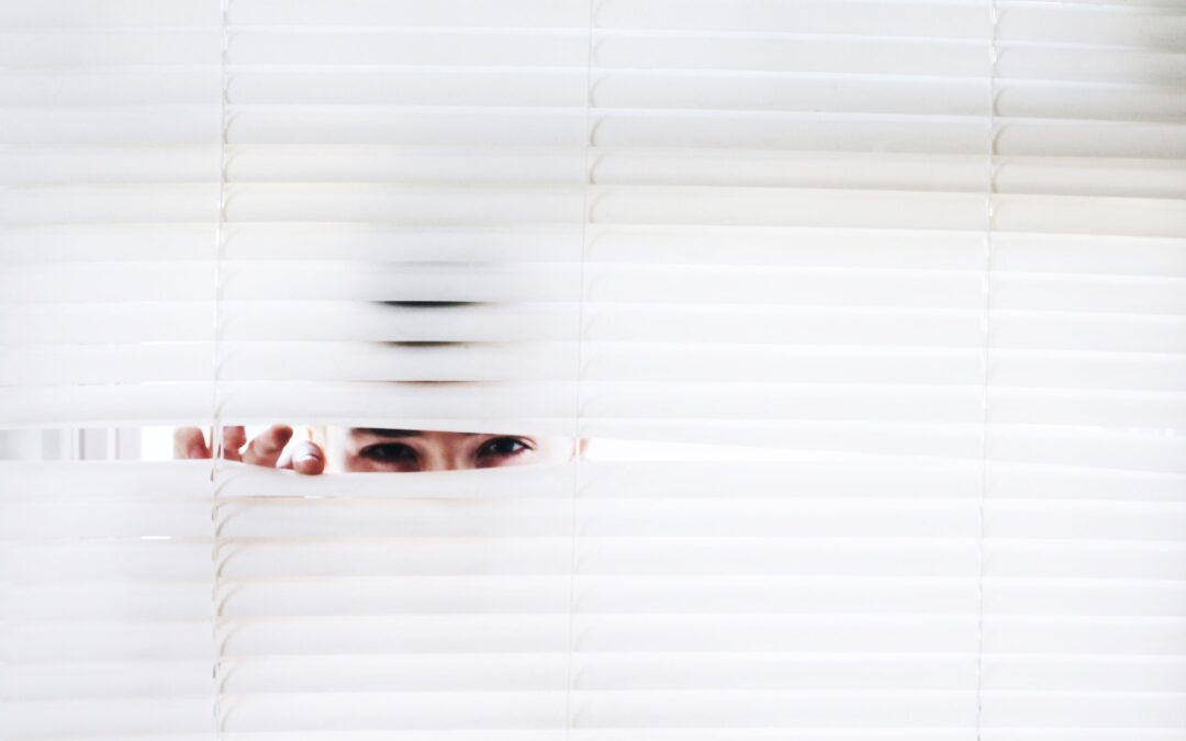 Een nieuw juridisch kader ter bestraffing van spionage: waarom een wetswijziging zich opdringt