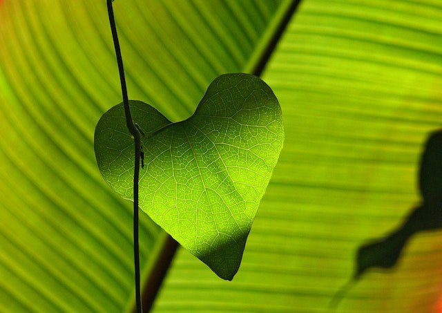 Welke rol voor het recht in het klimaatbeleid? Ondersteunen of Voorgaan?