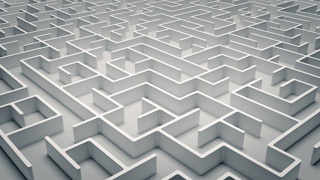 Een waar fiscaal doolhof: uitdagingen voor de student-zelfstandige cover