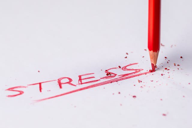 Het belang van stressbeheersing voor succesvol leiderschap cover