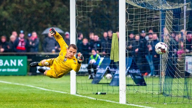 De rechterlijke macht: manke goalkeeper in een wankele democratie? cover