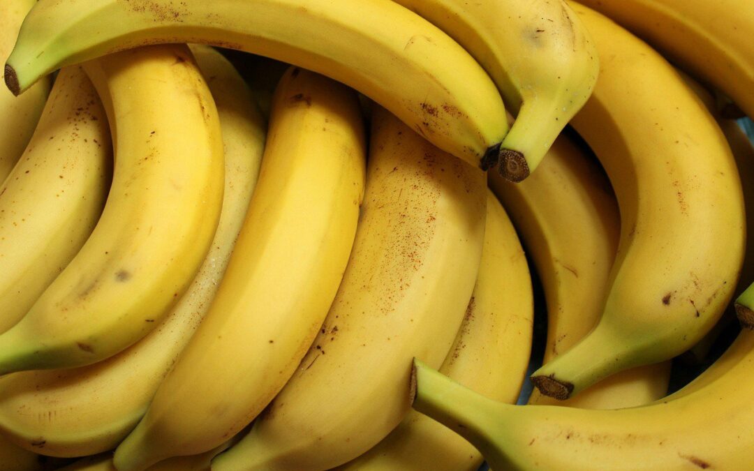 Casus Bananen: het verhaal van het bananenkartel