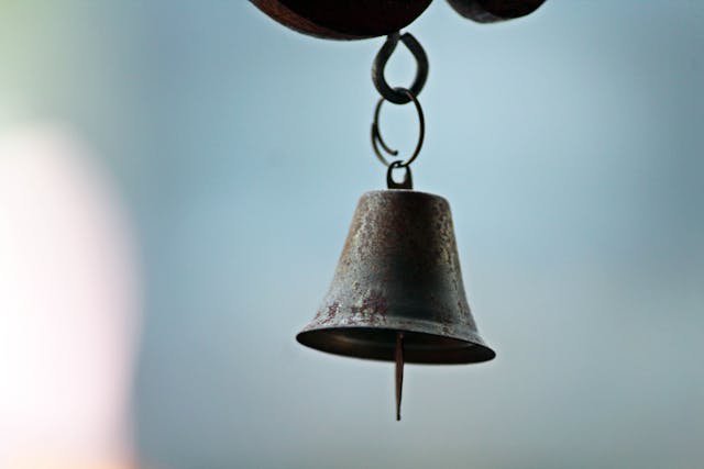 Alarmbelprocedure: plicht van de bestuurder, zorg van de accountant? cover Alarmbelprocedure: plicht van de bestuurder, zorg van de accountant? cover