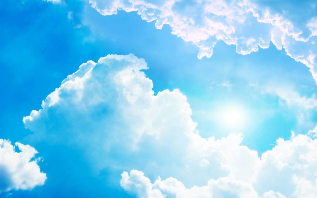 Zonnig getetter