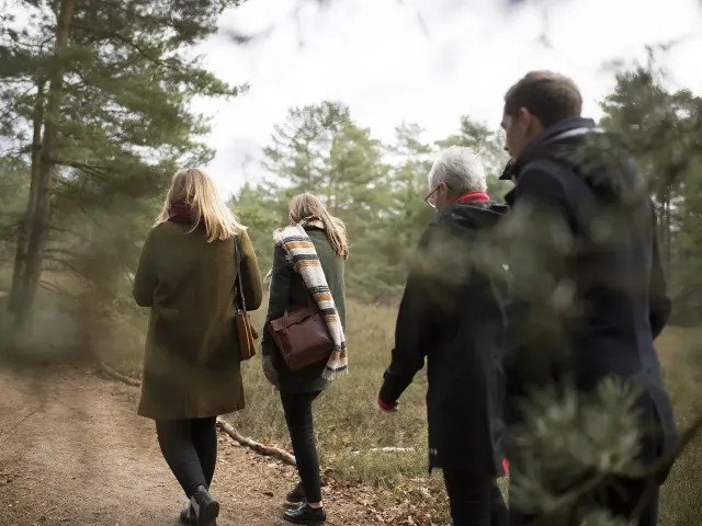 En 2025, près de 50.000 Belges ont renoncé gratuitement à une succession chez le notaire