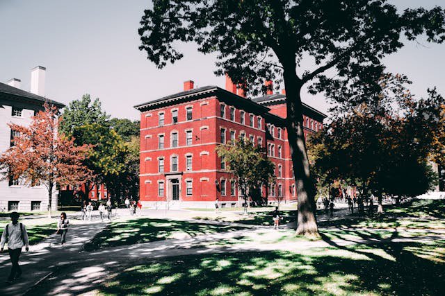 Waarom onze rechtsfaculteiten niet moeten onderdoen voor Harvard cover