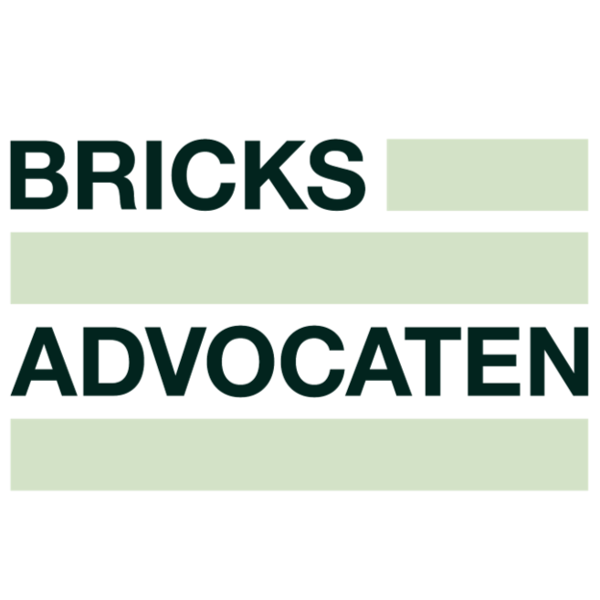 Bricks logo vierkant