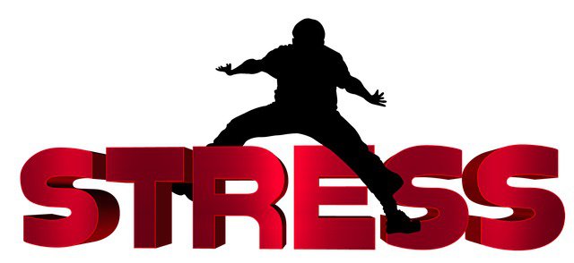 Als je weet wat stress doet, kan je jezelf efficiënter aansturen cover Als je weet wat stress doet, kan je jezelf efficiënter aansturen cover